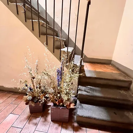 Classico E Romantico Fiorentino 10 Min A Piedi Da Ponte Vecchio E 5 Minuti Da Palazzo Pitti Area Unesco * 佛罗伦萨